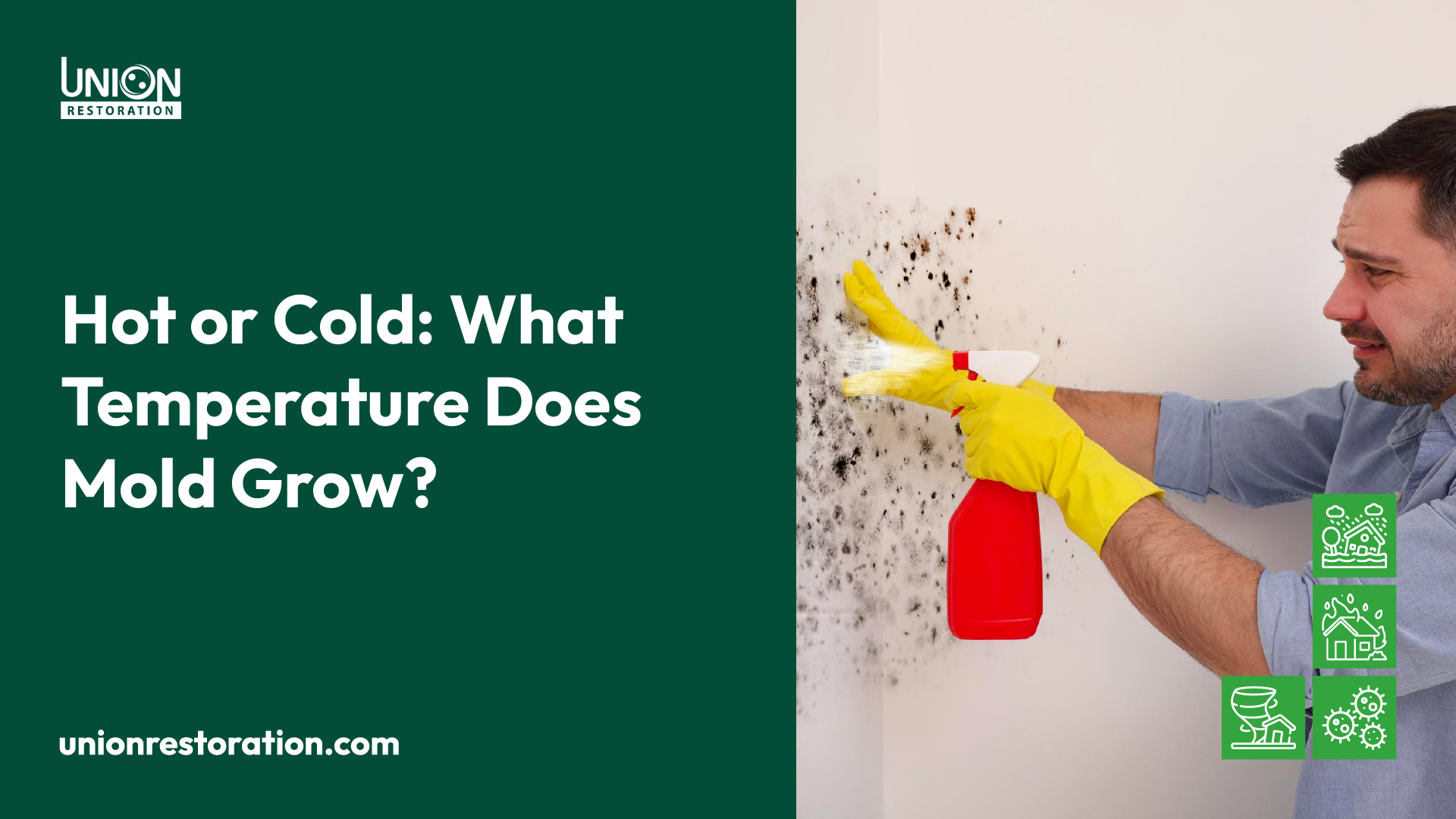 Hot or Cold What Temperature Does Mold Grow?